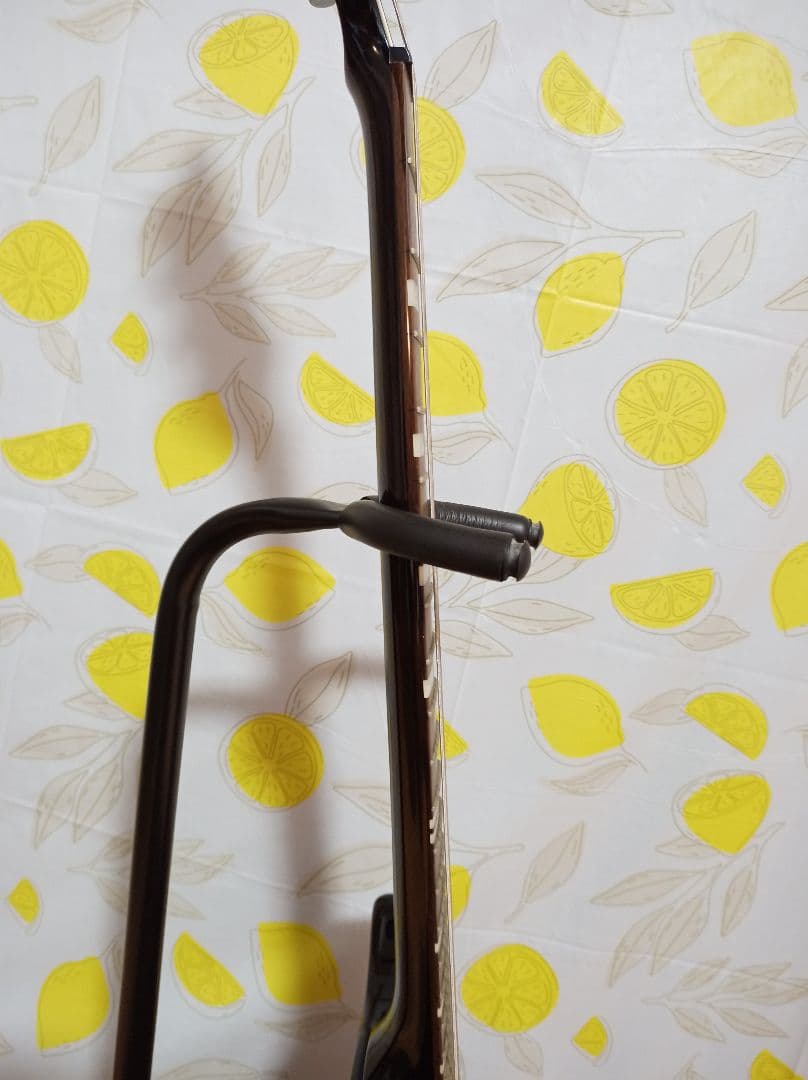 ギター Daisy Rock Stardust Elite Midnight Burst