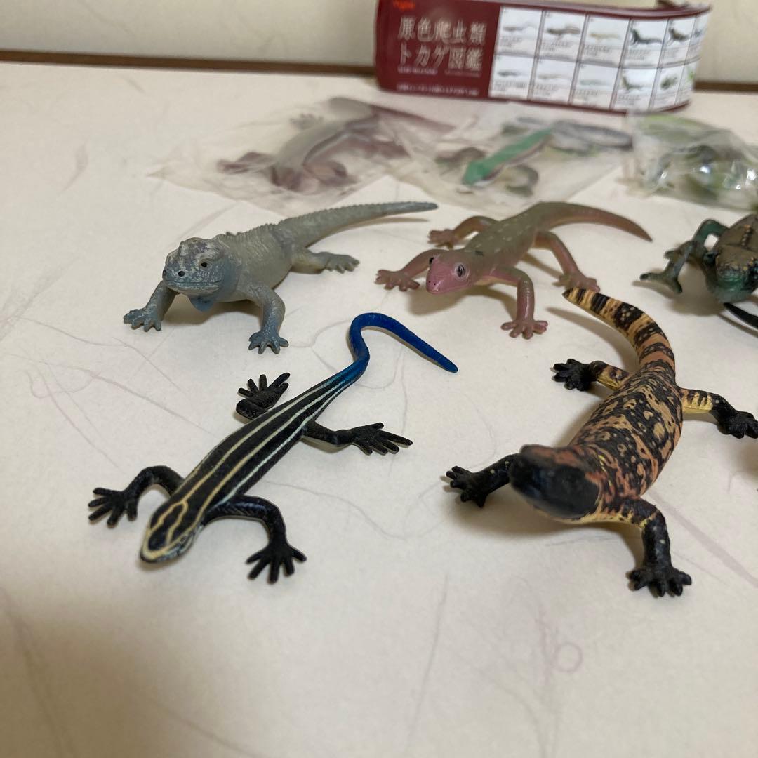 原色爬虫類トカゲ図鑑 15体 リーフレット15枚 - メルカリ