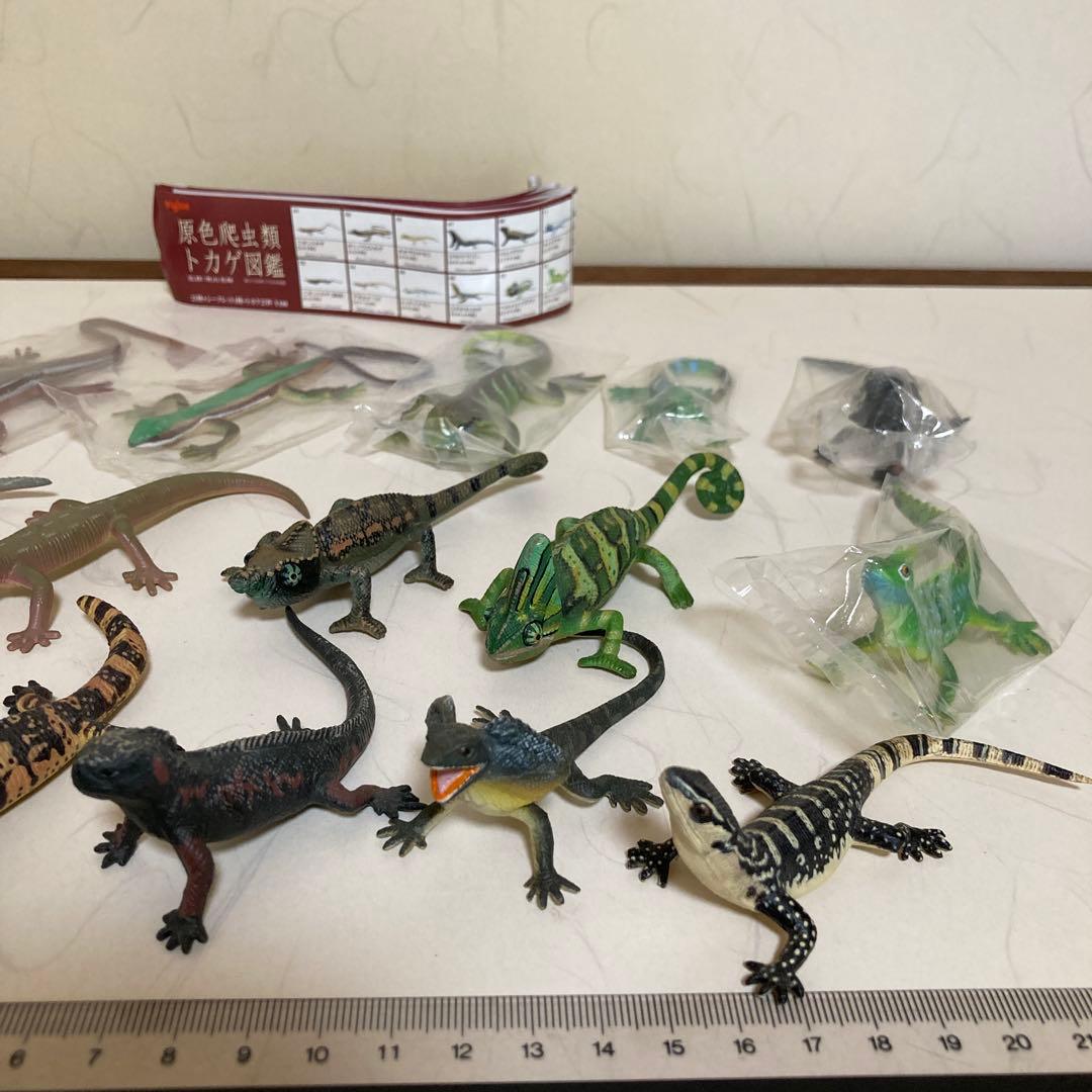 原色爬虫類トカゲ図鑑 15体 リーフレット15枚 - メルカリ