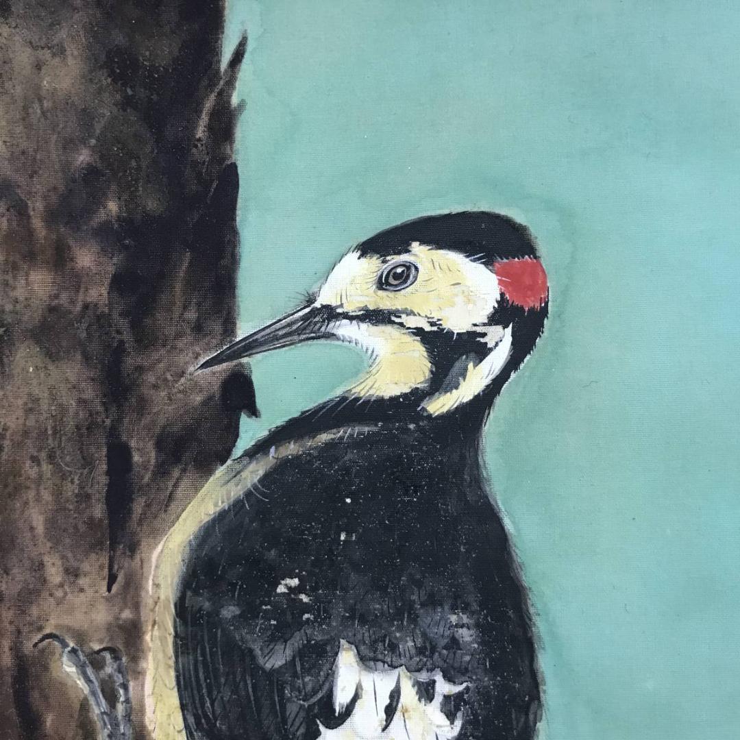 真作/朝見香城/樹間啄木鳥図/キツツキ/花鳥図/掛軸/名家伝来/AD-877