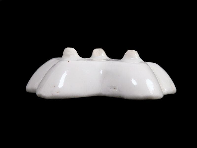 古伊万里　染付　岩に菊の図　梅型変形皿　豆皿　E585AS-CQy