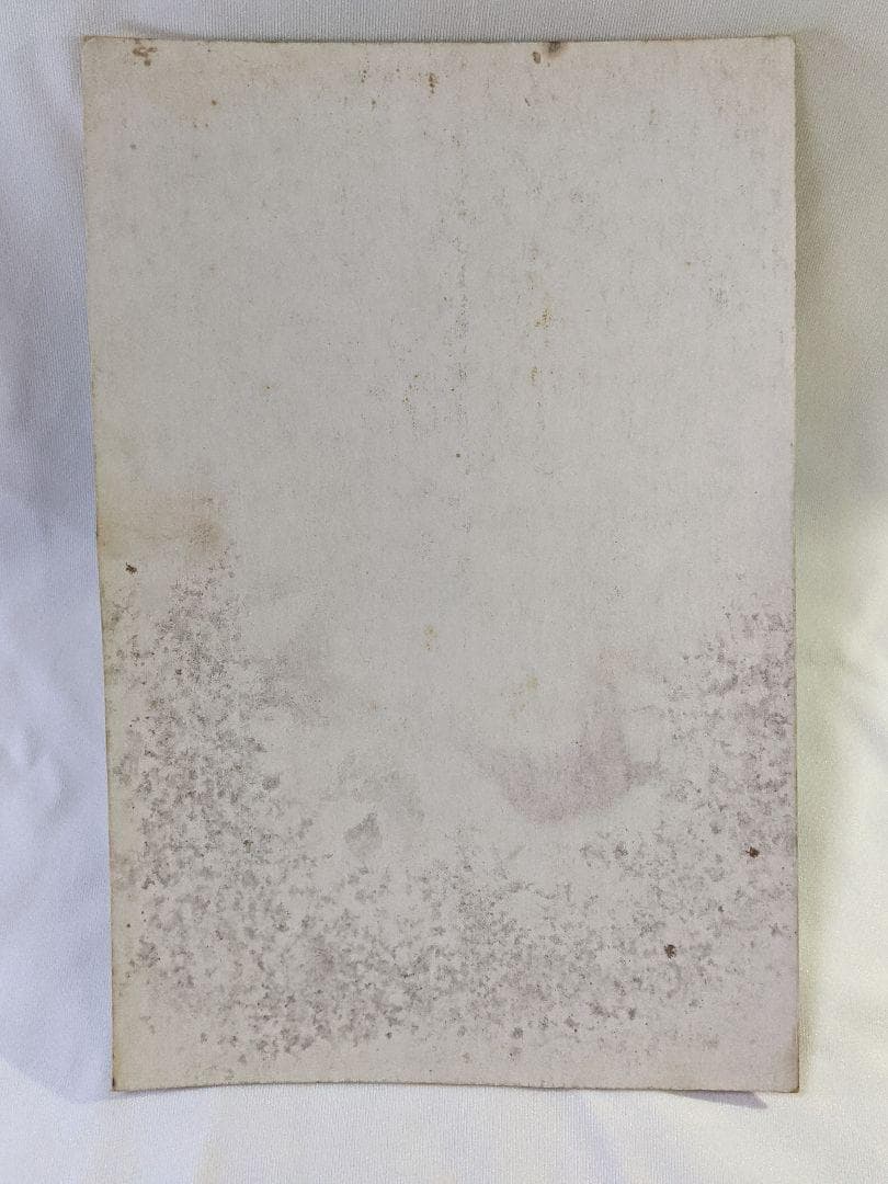 ドラゴンボールZ カードダス 第19弾 乱戦！破壊王あらわる 筐体台紙