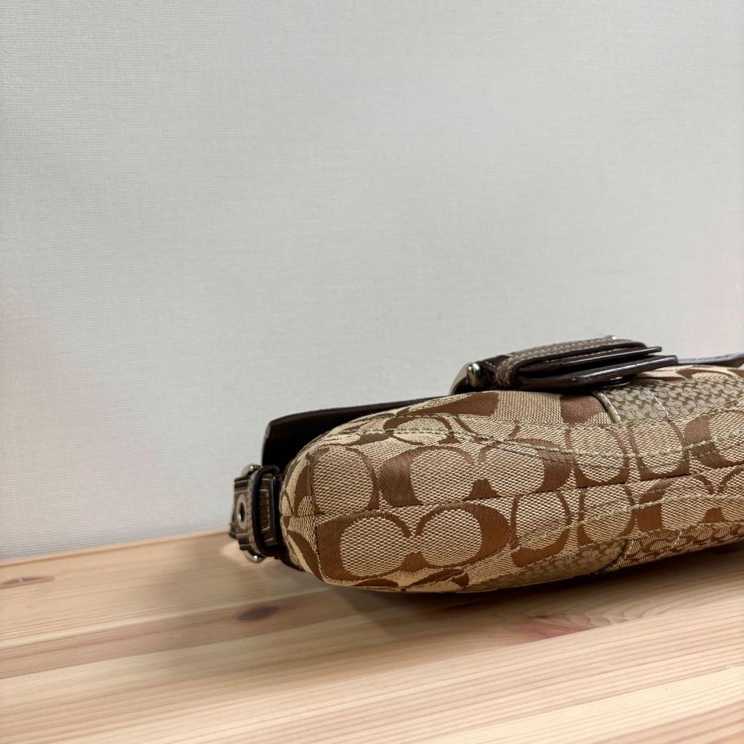 バッグ Coach Soho Suede Patchwork Python Bag
