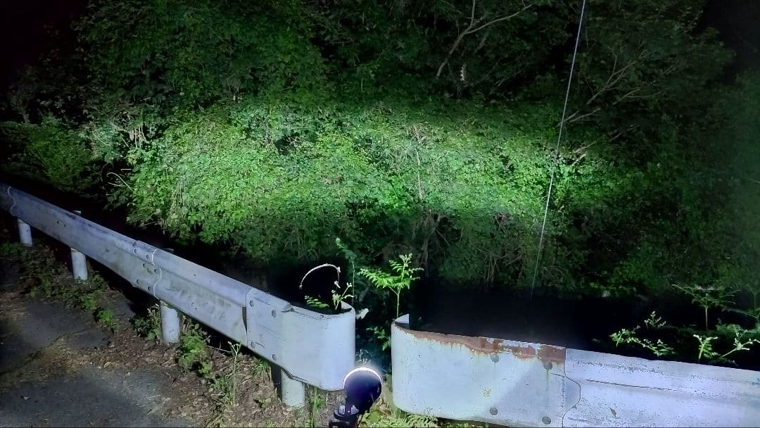 HIDライトトラップ サーチライトタイプ55W 紫外線放出加工済み