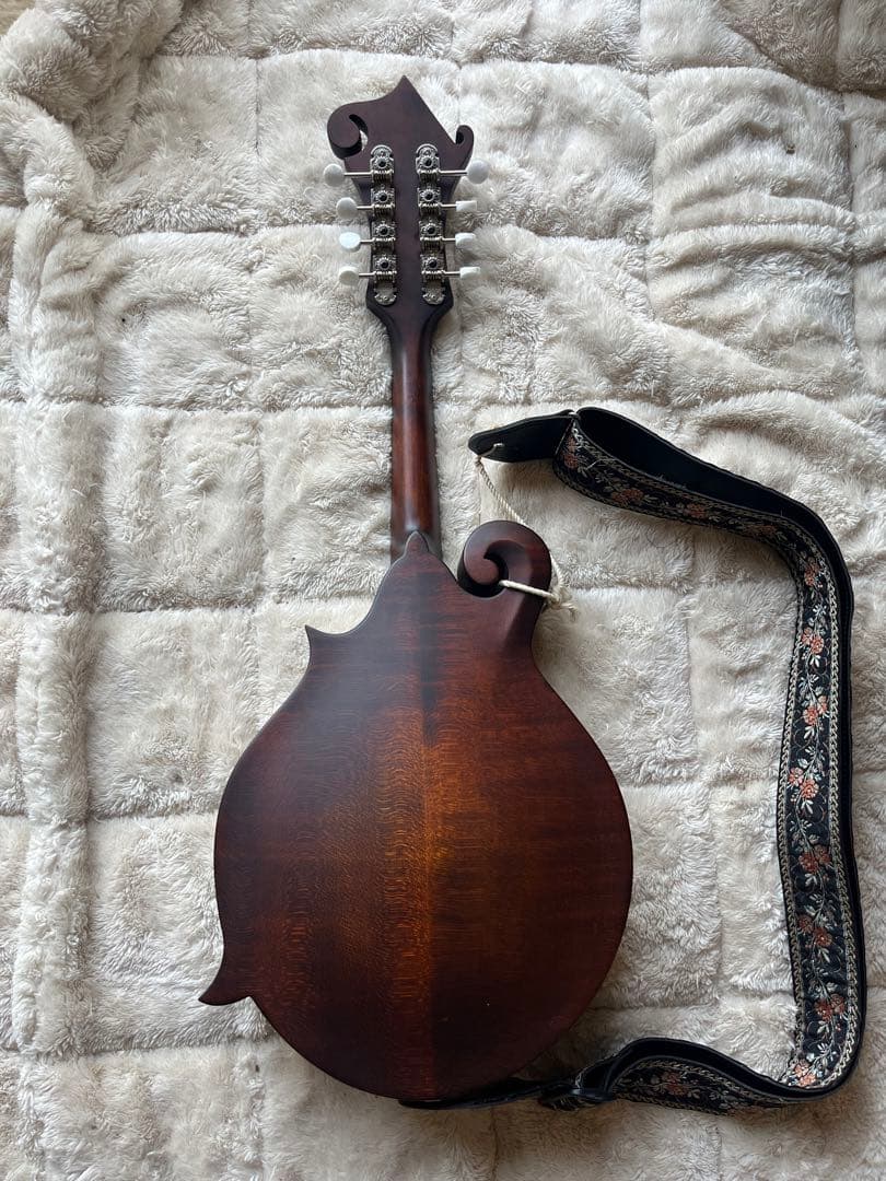 た*ん様 Eastman MD314 イーストマン フラットマンドリン