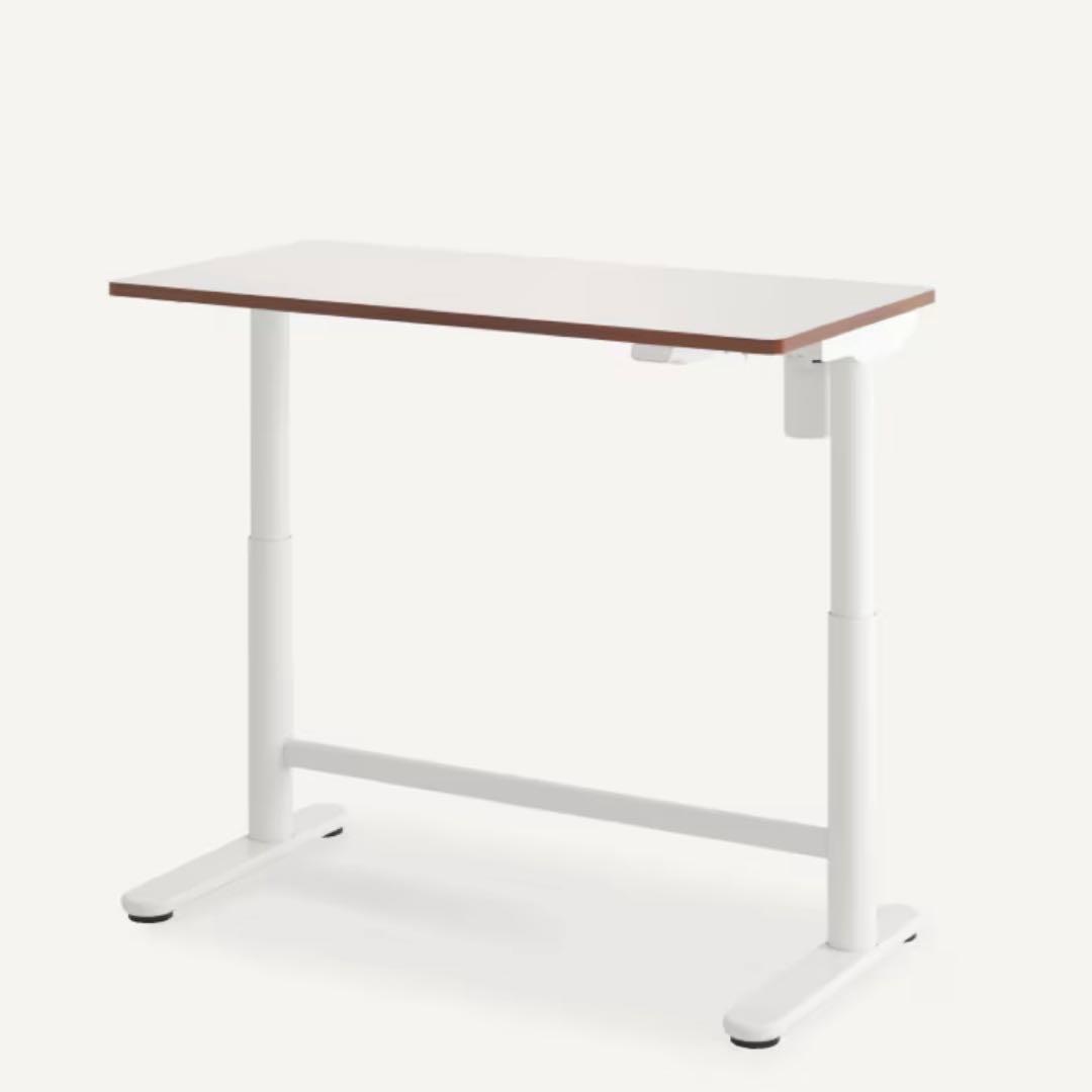 FLEXISPOT SD1 電動昇降式デスク 100x60cm キャスター付き