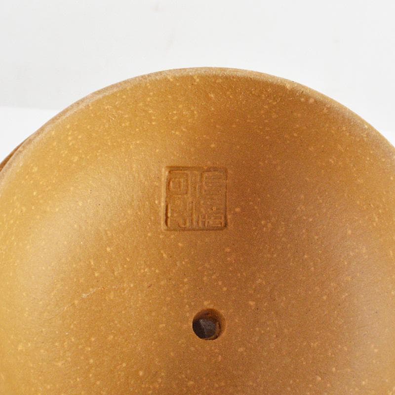 中国　紫砂　黄泥　松文　急須　茶壷　在銘　C　R6221