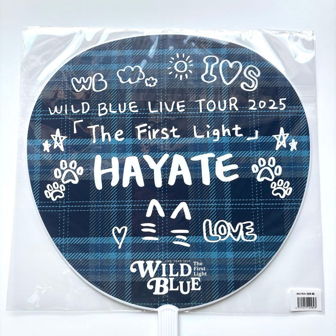 WILD BLUE LIVE TOUR 2025 うちわ 宮武颯