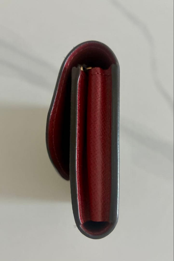 【Louis Vuitton】モノグラム ケース