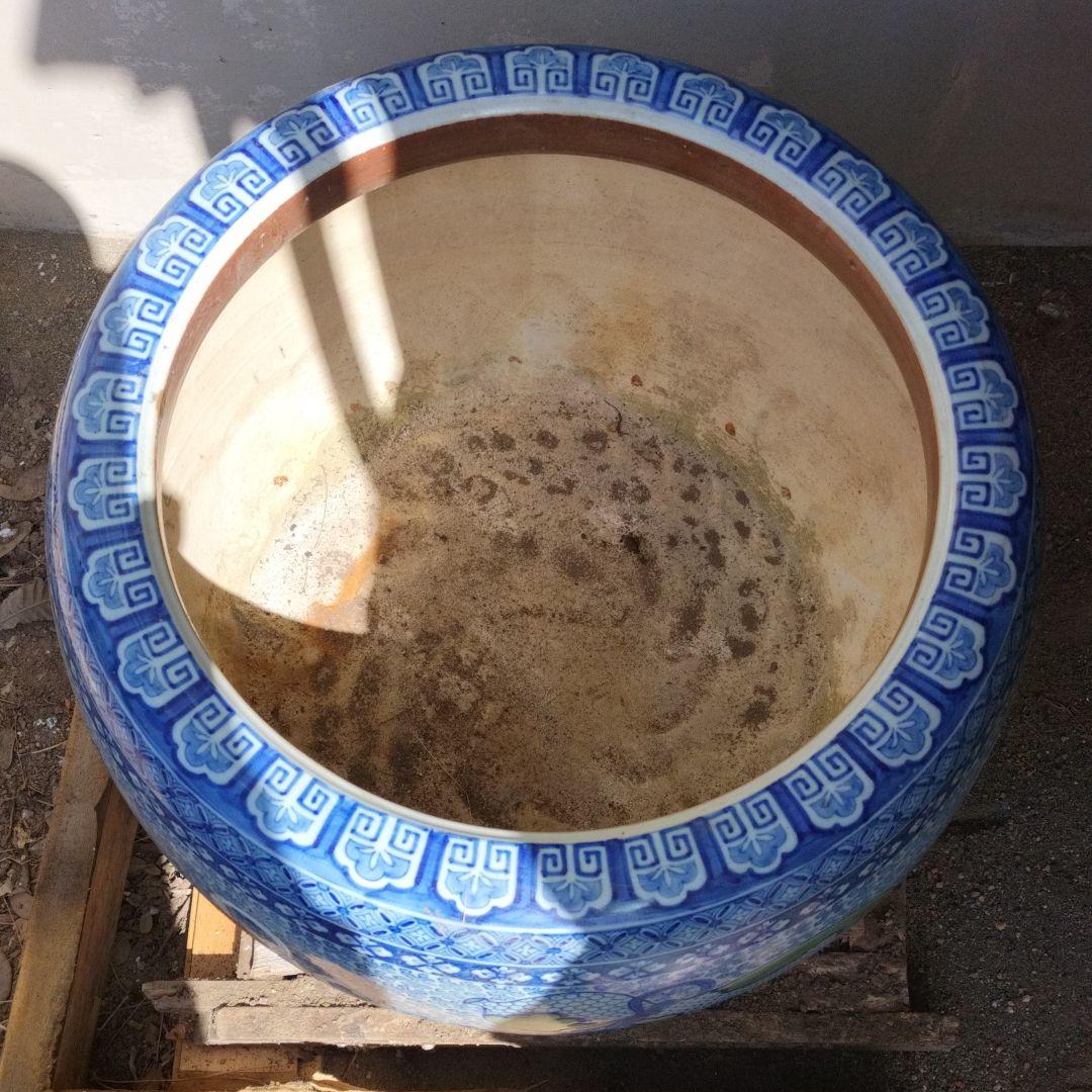 特大荷花缸 • 金魚缸