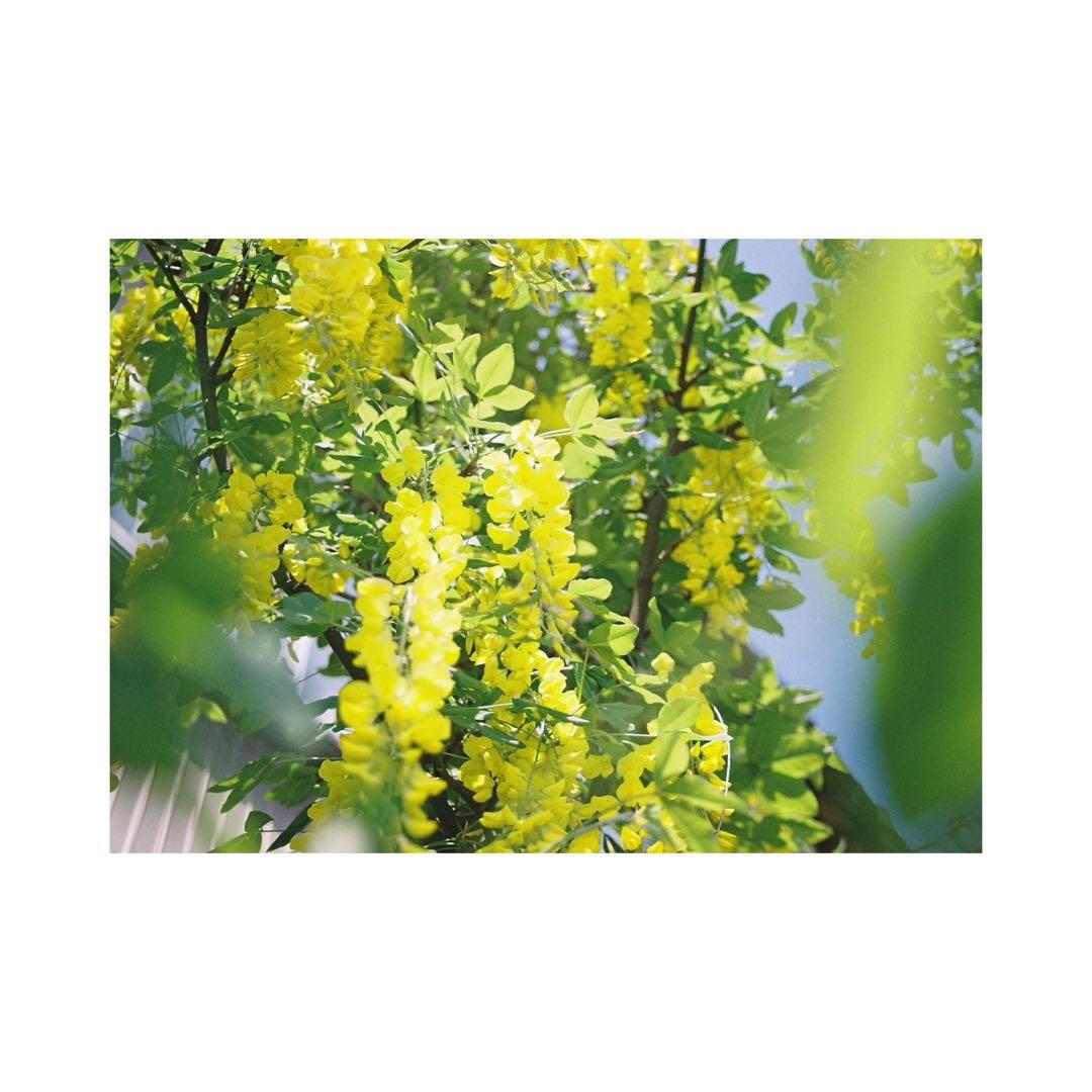 ⌘実写確認済み、電池付き！ Canon EOS Kiss Ⅲ レンズセット！⌘ カメラ