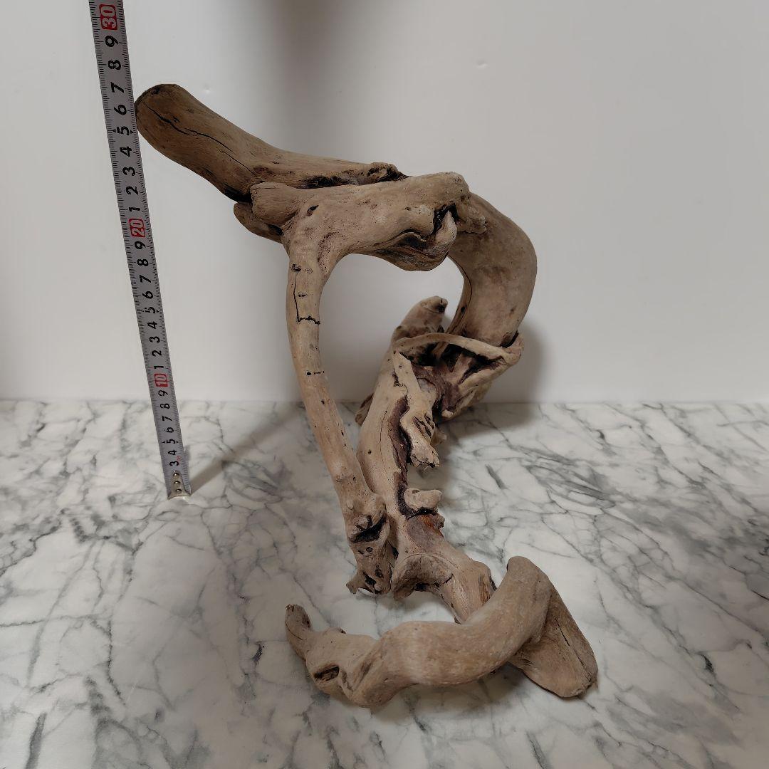 アク抜き済み流木【847】セール