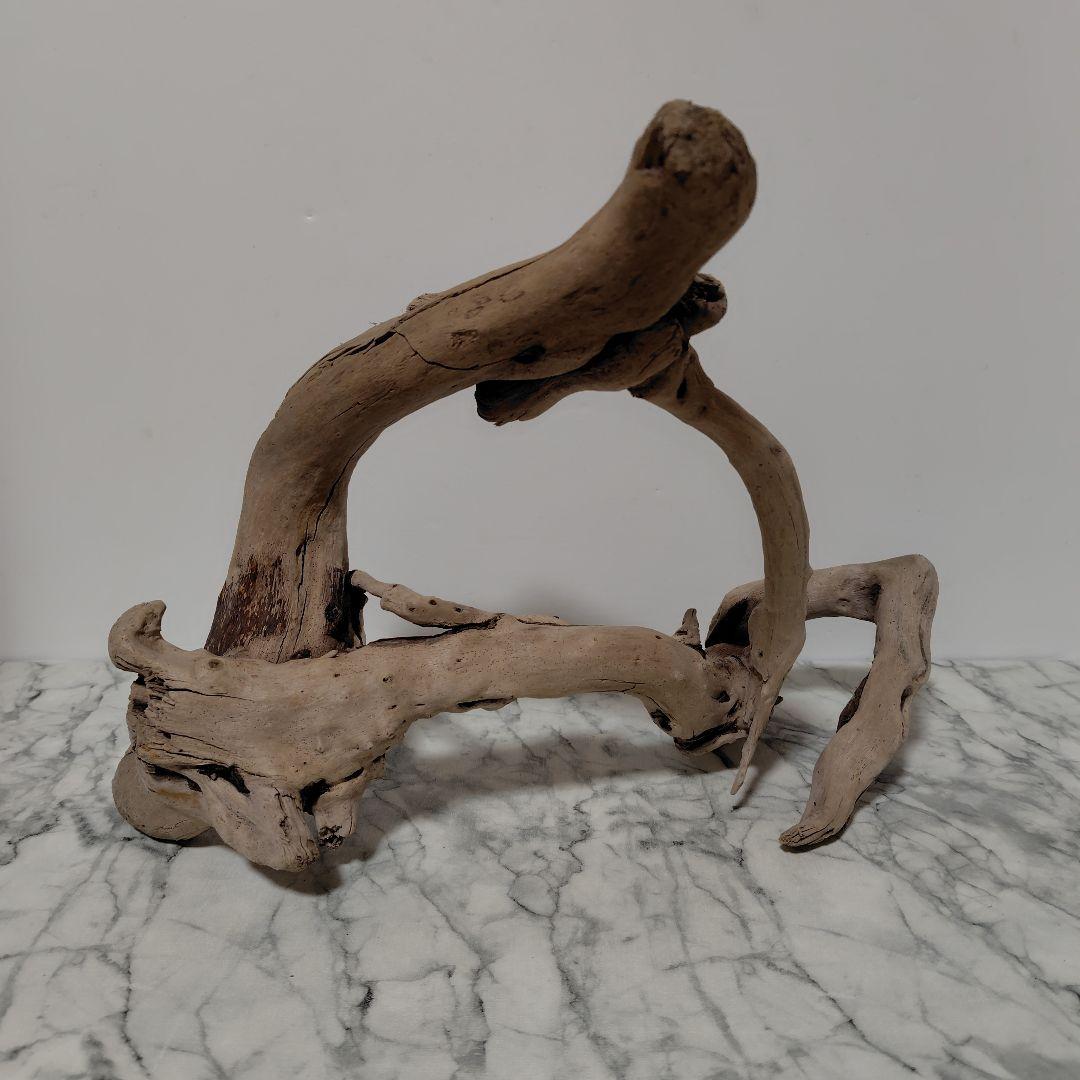 アク抜き済み流木【847】セール