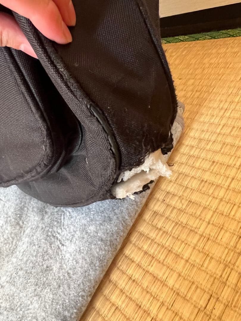 CoolZ テレキャスター ZTL-M2R RED