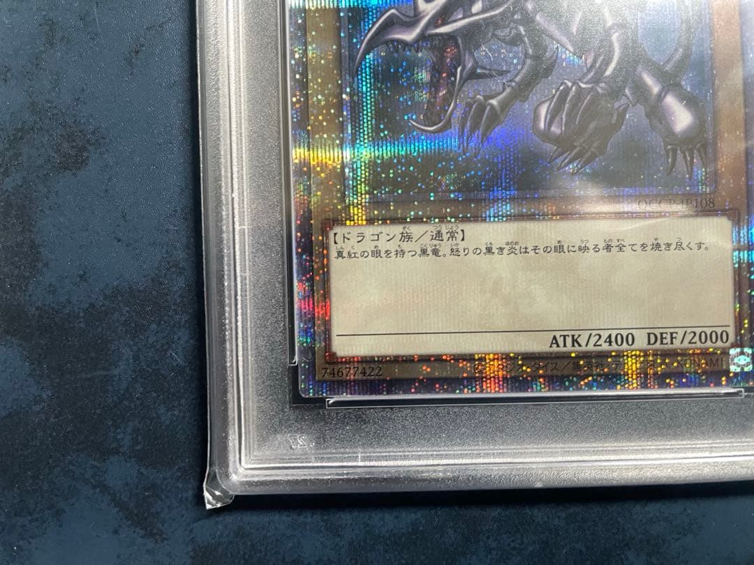 PSA10】 真紅眼の黒竜25th 青眼の白龍 25th 各1枚 クオシク