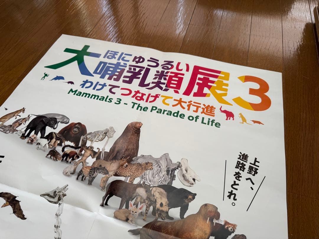 美品 大哺乳類展3 告知ポスター カラー版