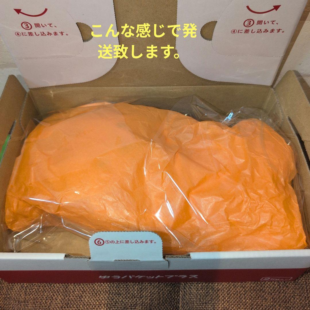 大阪関西万博　オランダパビリオン ミッフィーぬいぐるみ　オランダ館