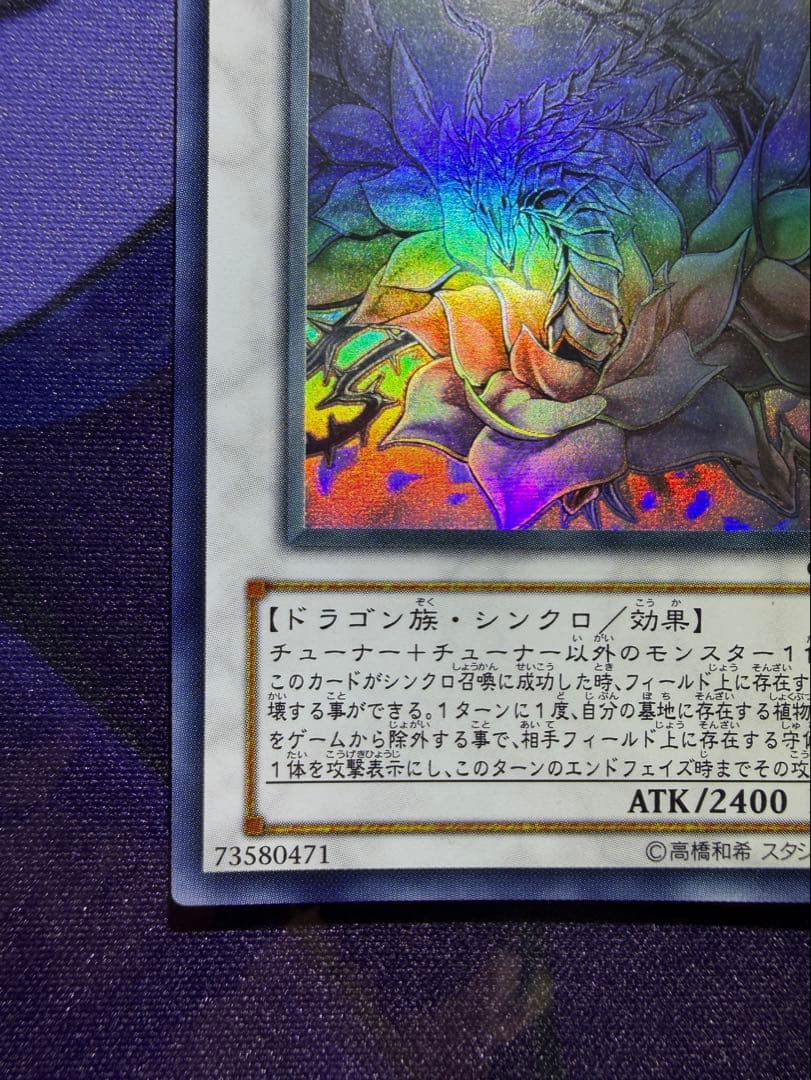 【遊戯王】ブラック・ローズ・ドラゴン ホログラフィック