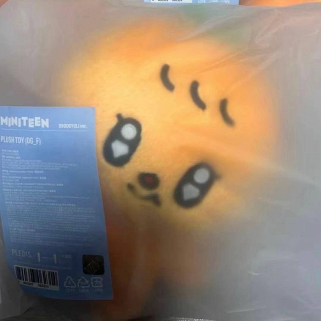 SEVENTEEN MINITEEN プギュリ ぬいぐるみ プラッシュトイ - メルカリ