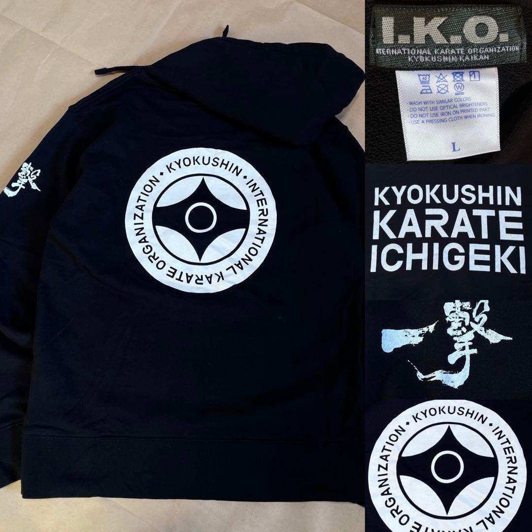 FERNANDES TEJ-95S テレキャスタイプ フロントディマジオPU改