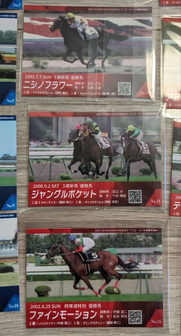 函館競馬場 札幌競馬場 メモリアル カード 26枚 競馬 競走馬 ウマ娘 グッズ