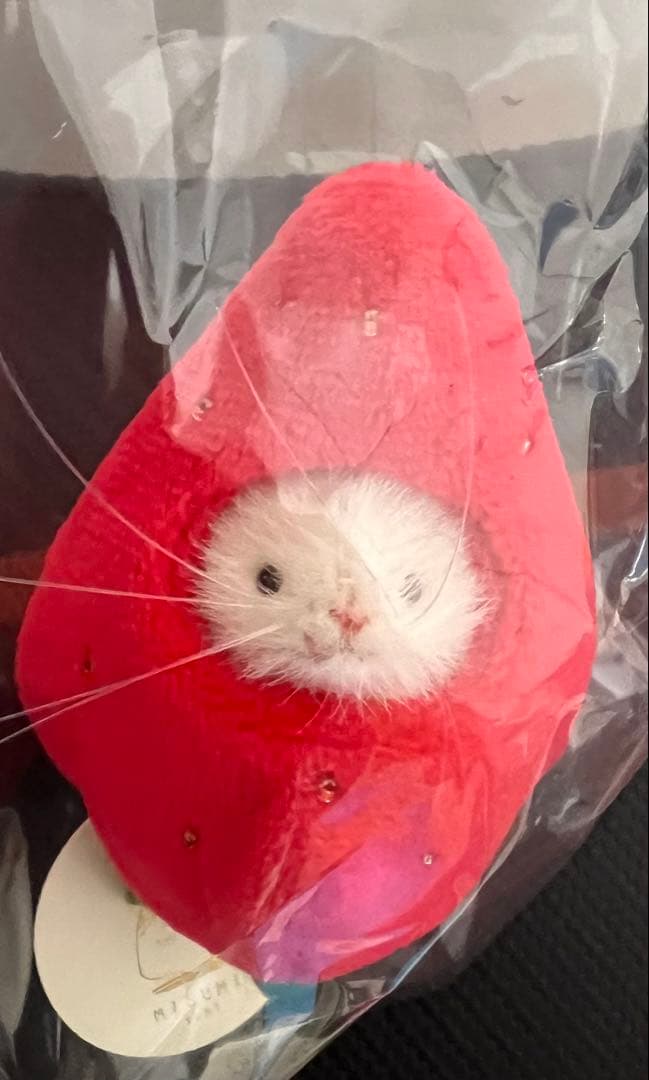 三角ユウリ　マウスのぬいぐるみ　苺