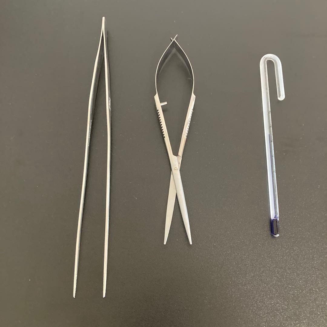 Ada ハサミ ピンセット 温度計 ADAプロレイザー400 DOOAシザースカーブ