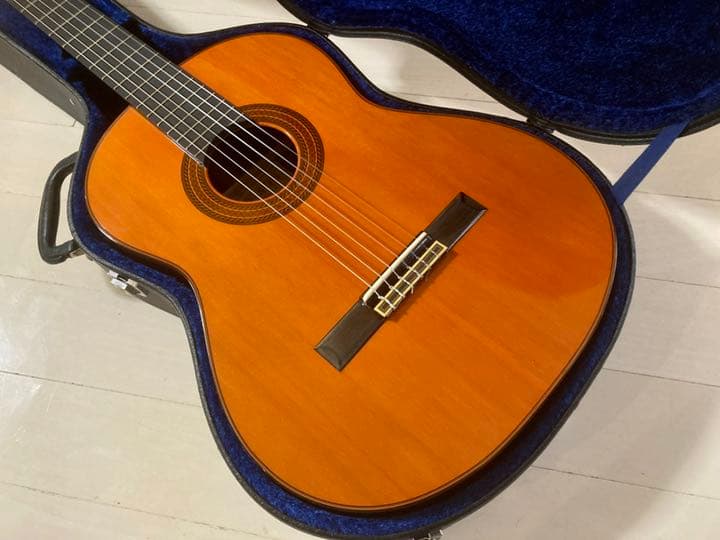 コンプリートD-55モデル Aria GL-500 積層ネック 本アバロン貝 2026年