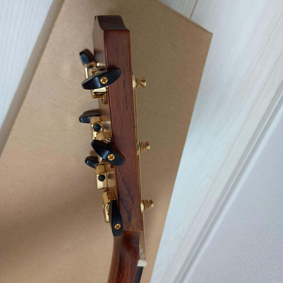 SX DG-LTD2 アコースティックギター sxミニギター アコースティック