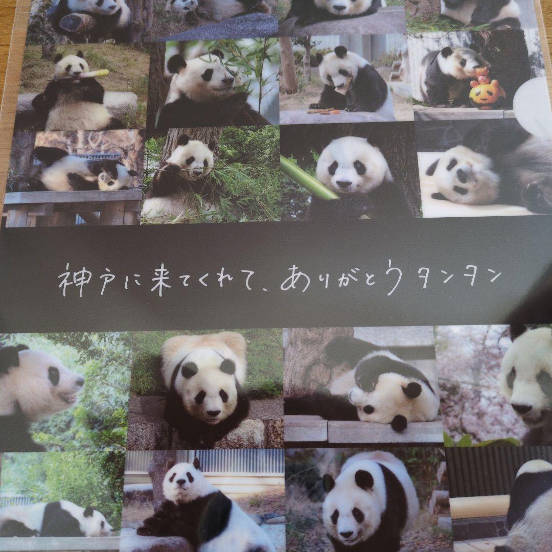 パンダ タンタン A4クリアファイル 王子動物園 未使用 - メルカリ