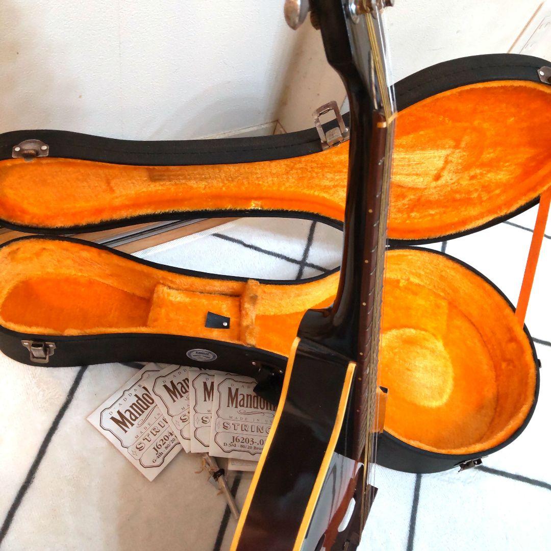 JUMBO 田原楽器　TAHARA　フラットマンドリン　弦楽器 ジャンボ