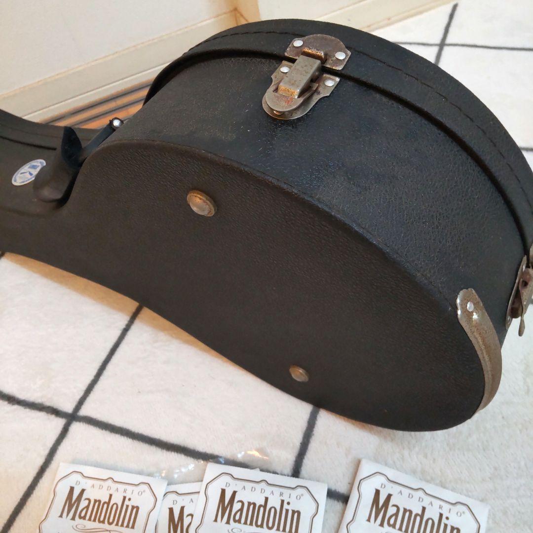 JUMBO 田原楽器　TAHARA　フラットマンドリン　弦楽器 ジャンボ