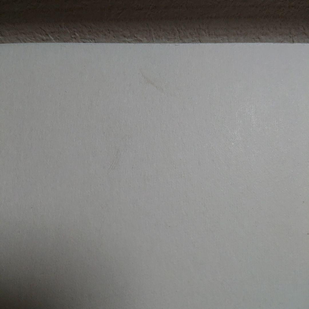 「金運大昇鯉」佐藤晋伍色紙絵