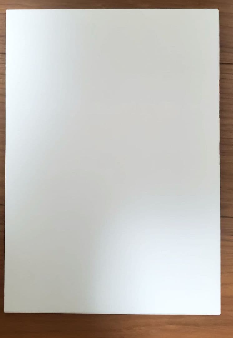 水瀬いのり　単独＆キンスパ　ライブパンフレット（写真集）