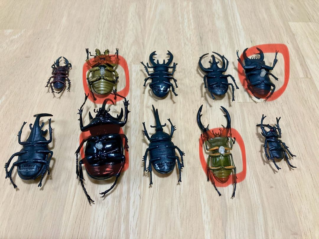 カブトムシ クワガタ 標本10匹セット - メルカリ