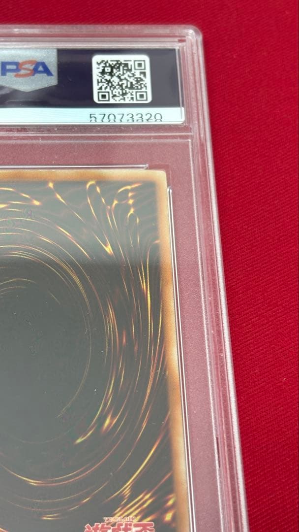 遊戯王 PSA10 ブラックローズドラゴン ホログラフィック