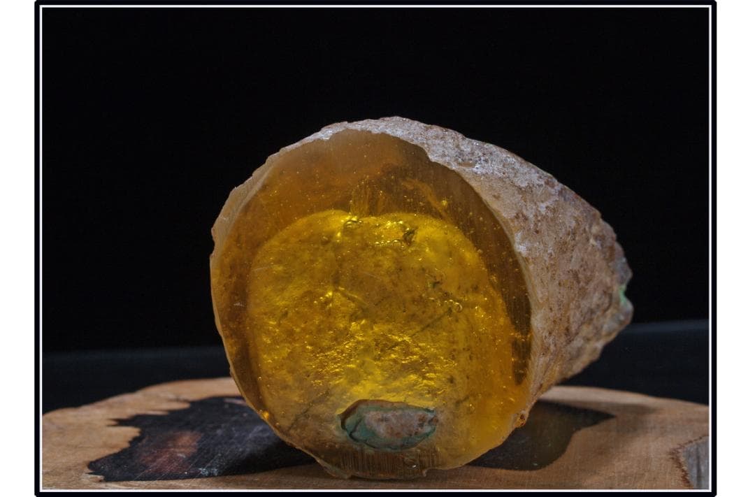 旧家初心だし 中国時代の化石 天然琥珀サソリ古美術 DE1656D4-2