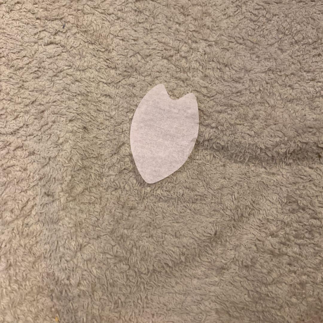 B'z LIVE-GYM2019 ガチャ バラ歓迎