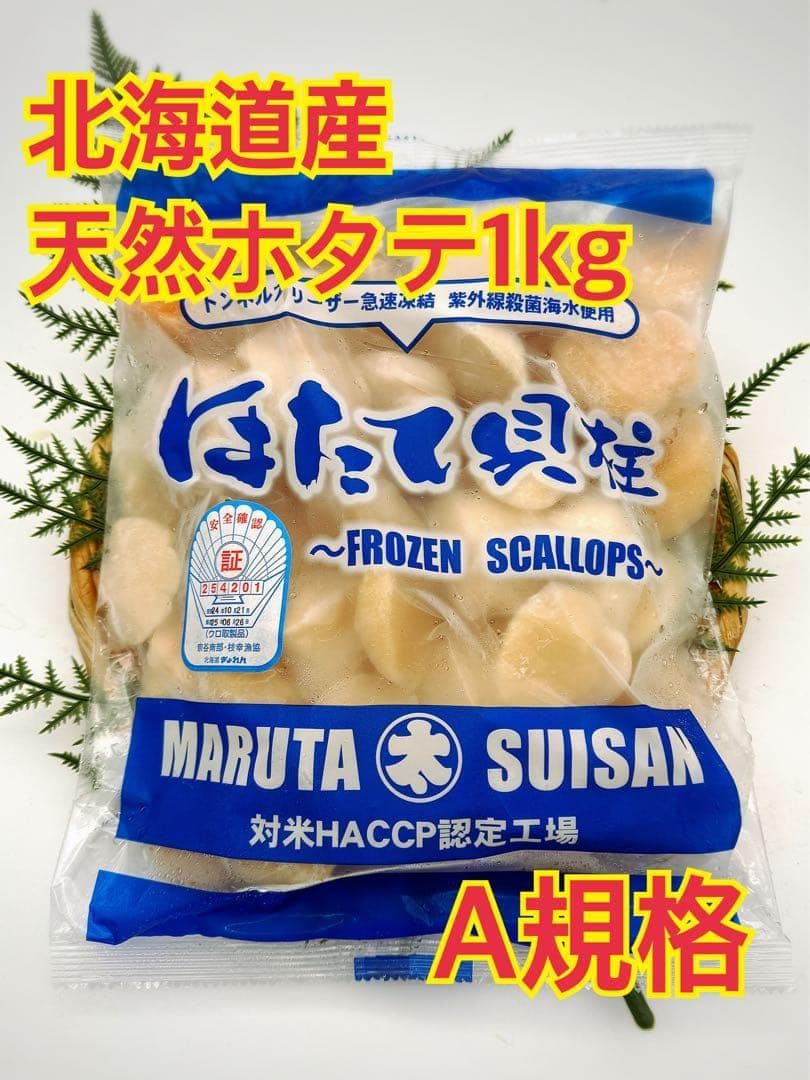 ♡ 力士サイン入り手形 横綱 貴ノ花 横綱 若ノ花 他 2025年最新