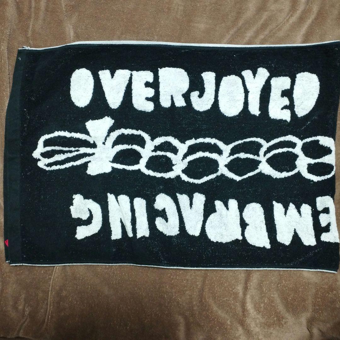 R55 YUKI うれしくって抱きあうよ タオル