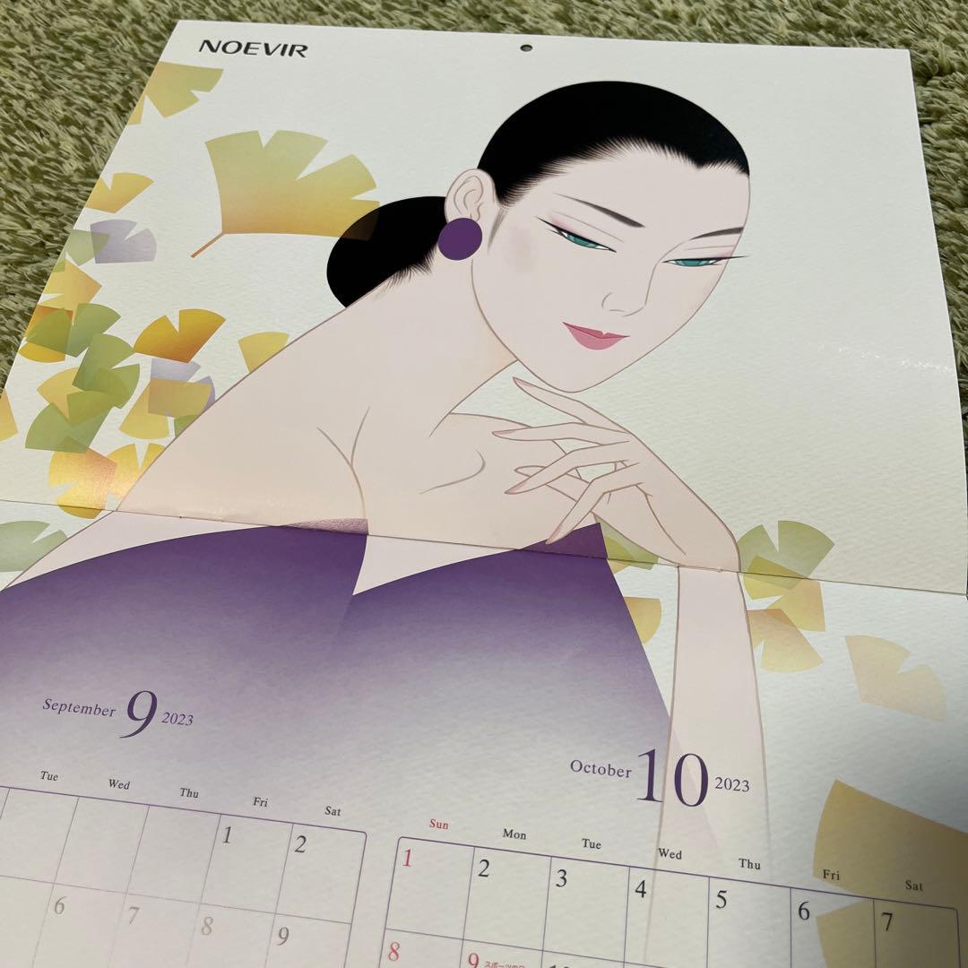 新品未使用】ノエビア NOEVIR 壁掛け カレンダー 2023 鶴田一郎 - メルカリ
