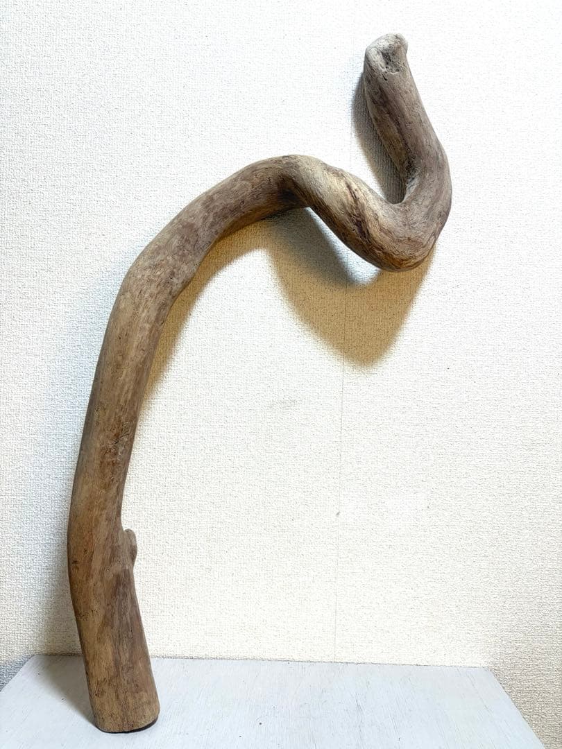 G79 灰汁抜き処理済 流木 爬虫類 両生類シェルター 観葉植物 インテリア