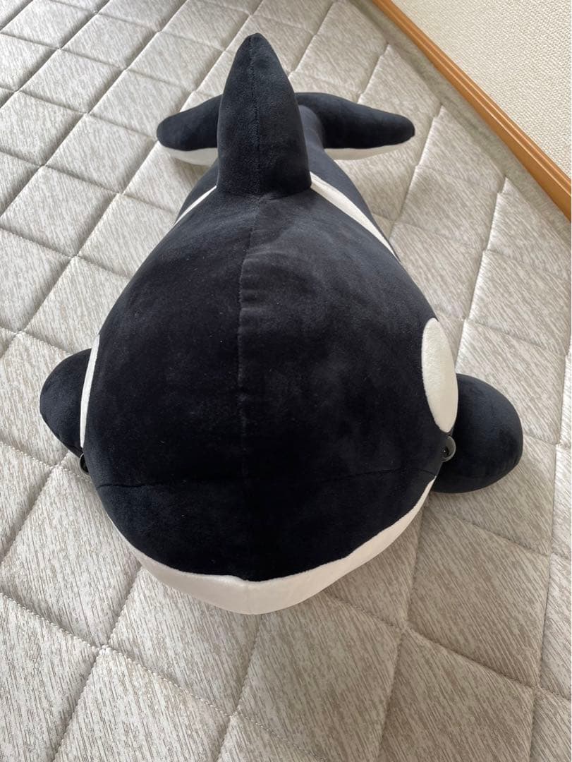 名古屋港水族館 シャチ ぬいぐるみ