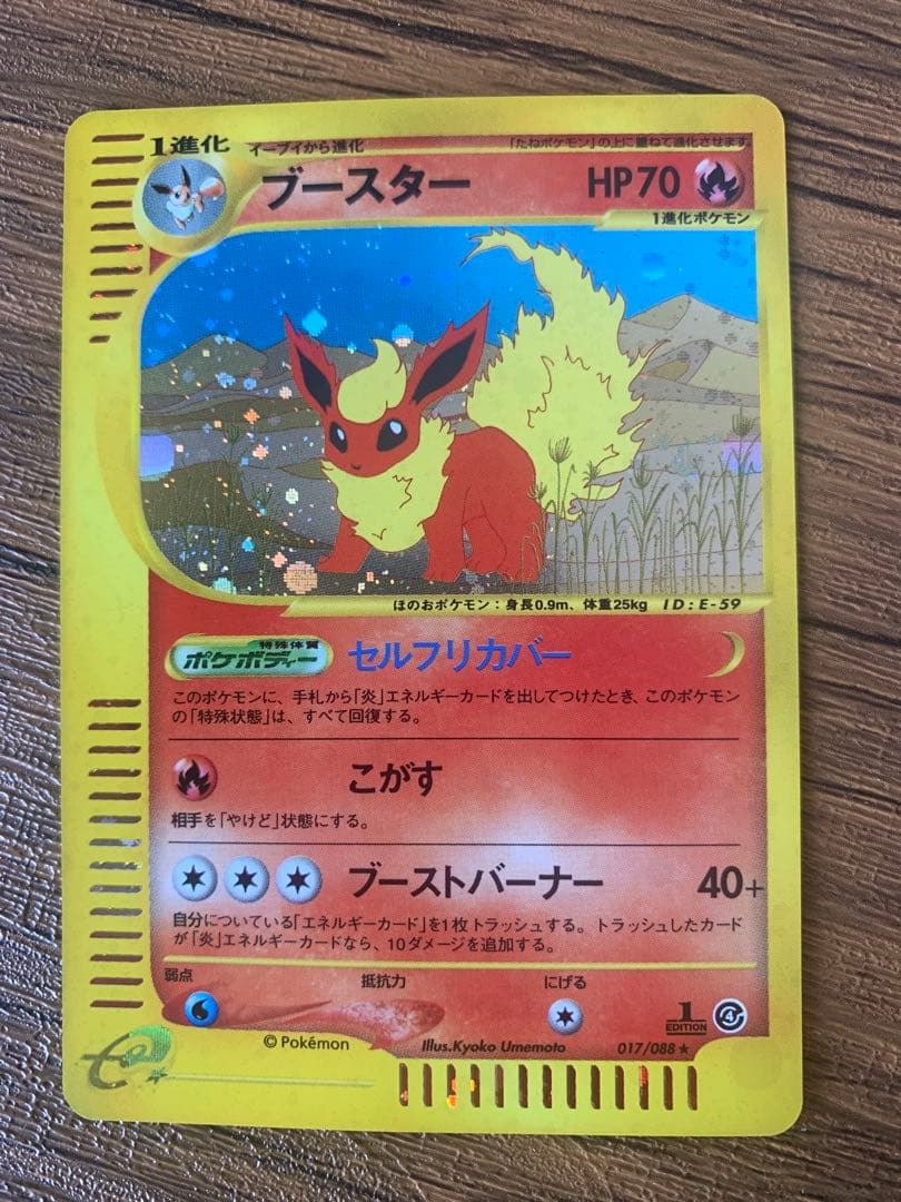 PSA10 ブースター 拡張パック第4弾 裂けた大地 017/088 カードe