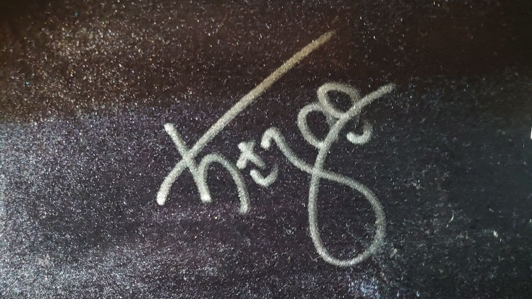 【高嶋ちさ子直筆サイン入り】BAM(バム) バイオリンケース 2002XLB