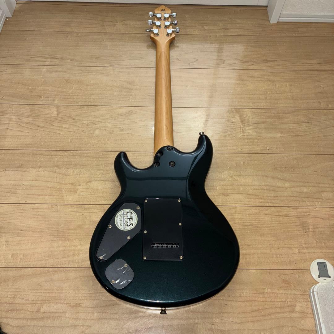 超希少 History(フジゲン) ZGF CFS 富士弦製 日本製