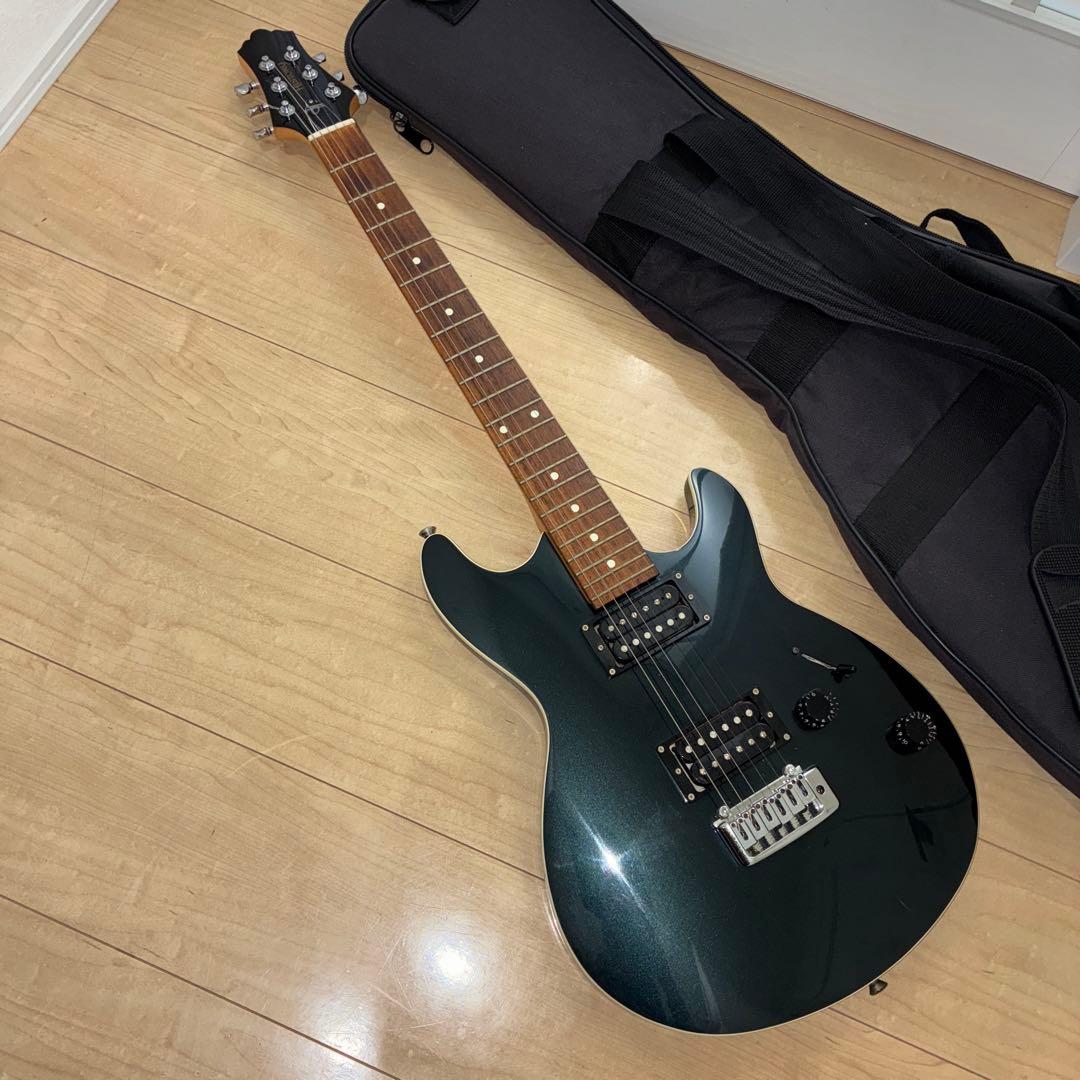 超希少 History(フジゲン) ZGF CFS 富士弦製 日本製