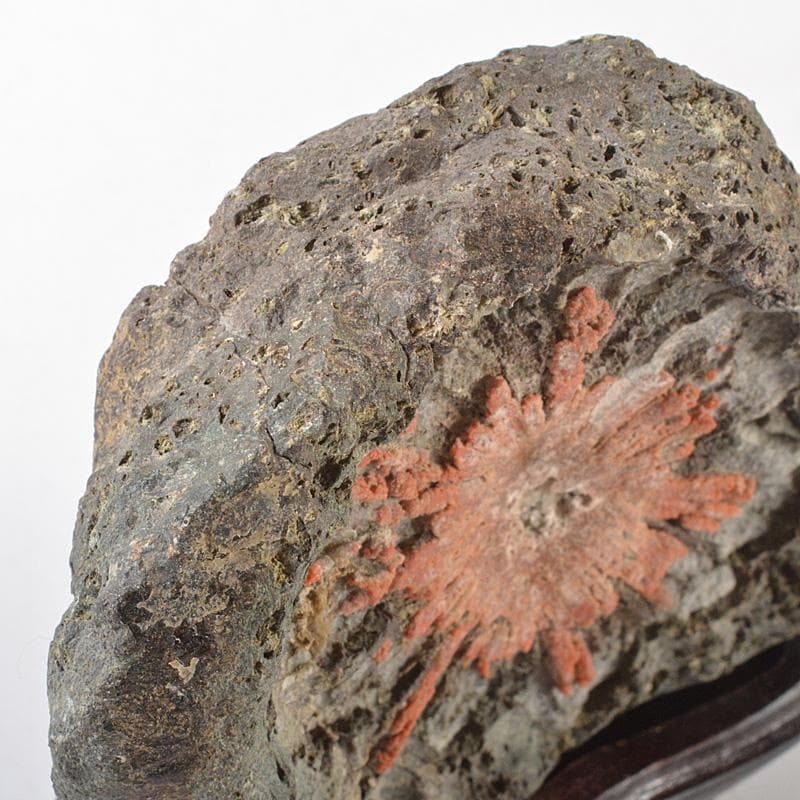 天然石 鑑賞石 菊花石 置物 重さ約392g 唐木台付 V R6492 - メルカリ