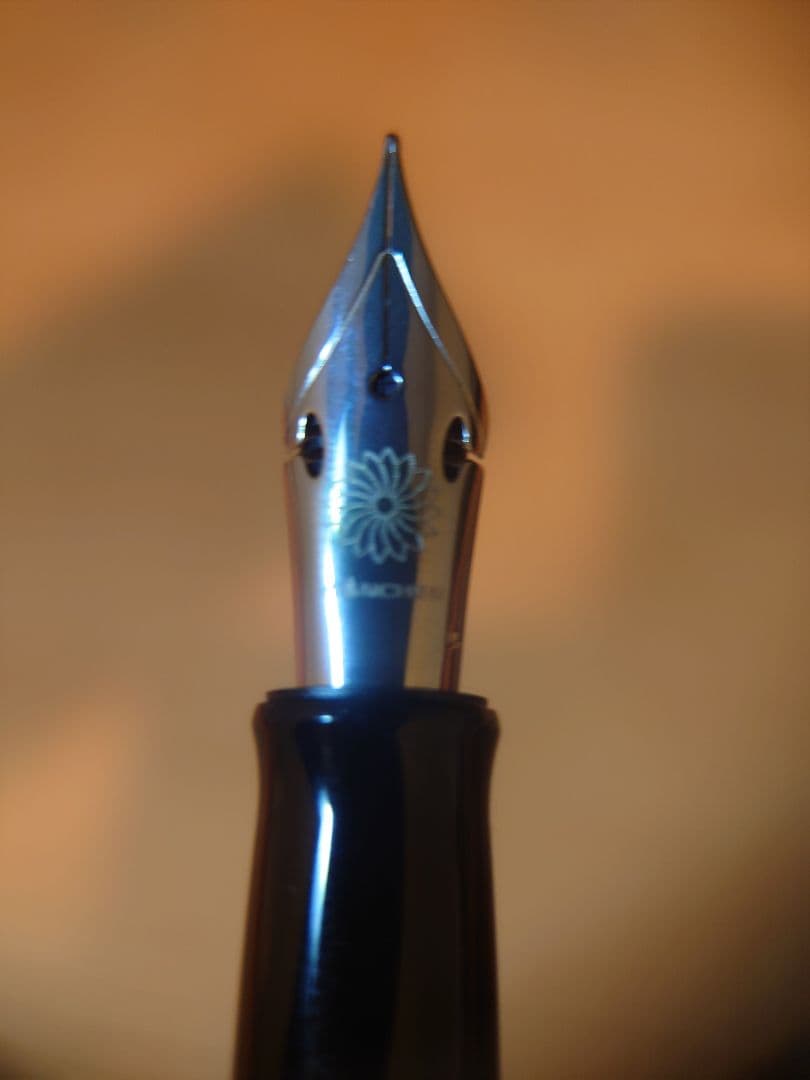 WANCHER 世界樹漆 フレックスニブ 字幅F 細字 万年筆