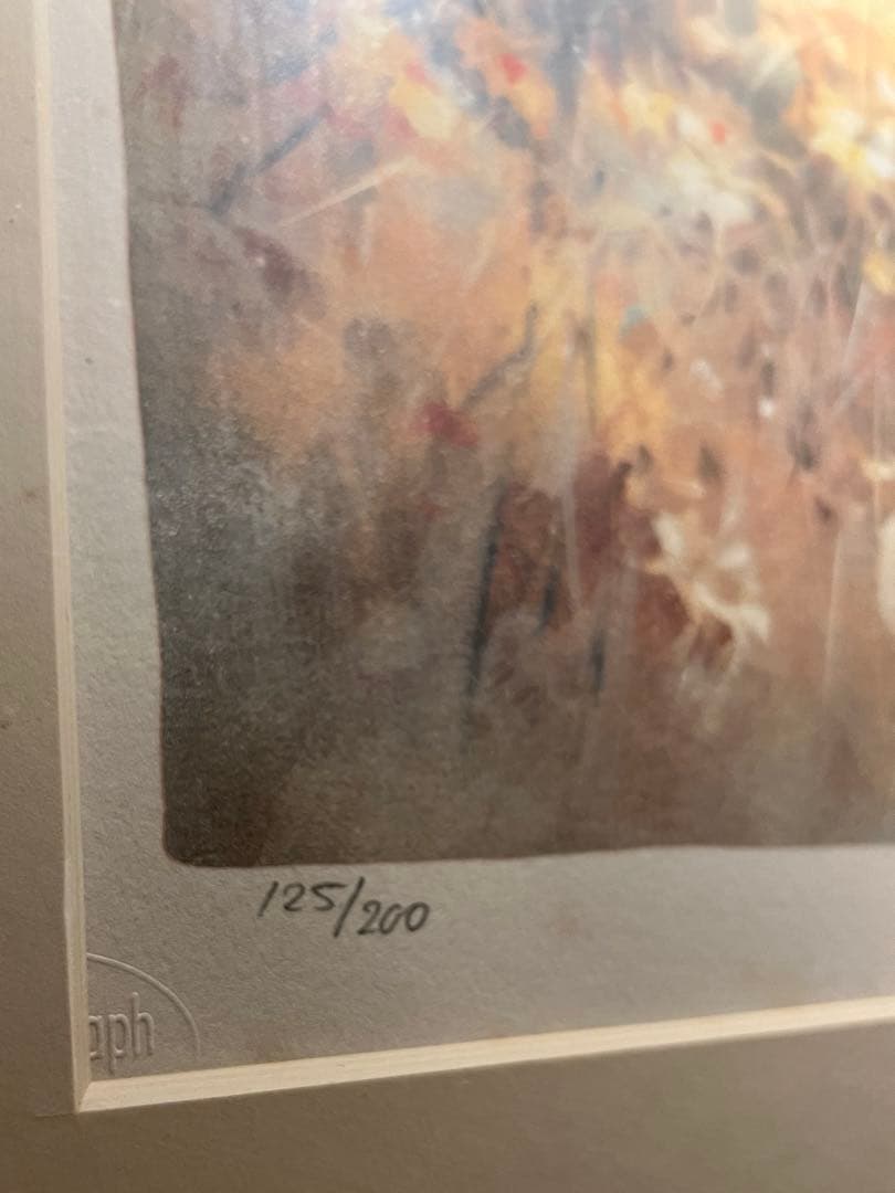 ウィルム・ヘンラート lithograph200限定刻印あり